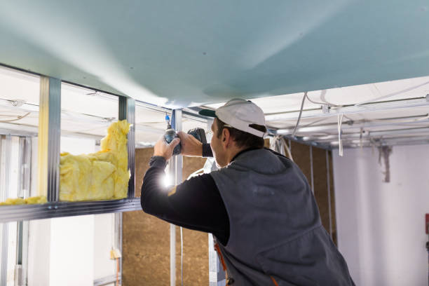 Best Residential Insulation in Madison, IL