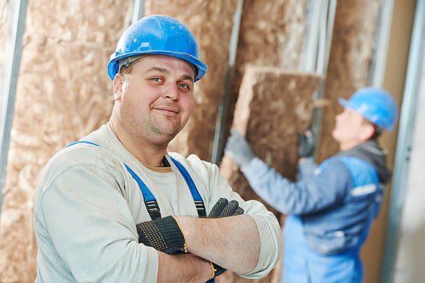Best Insulation Installation Services in Madison, IL